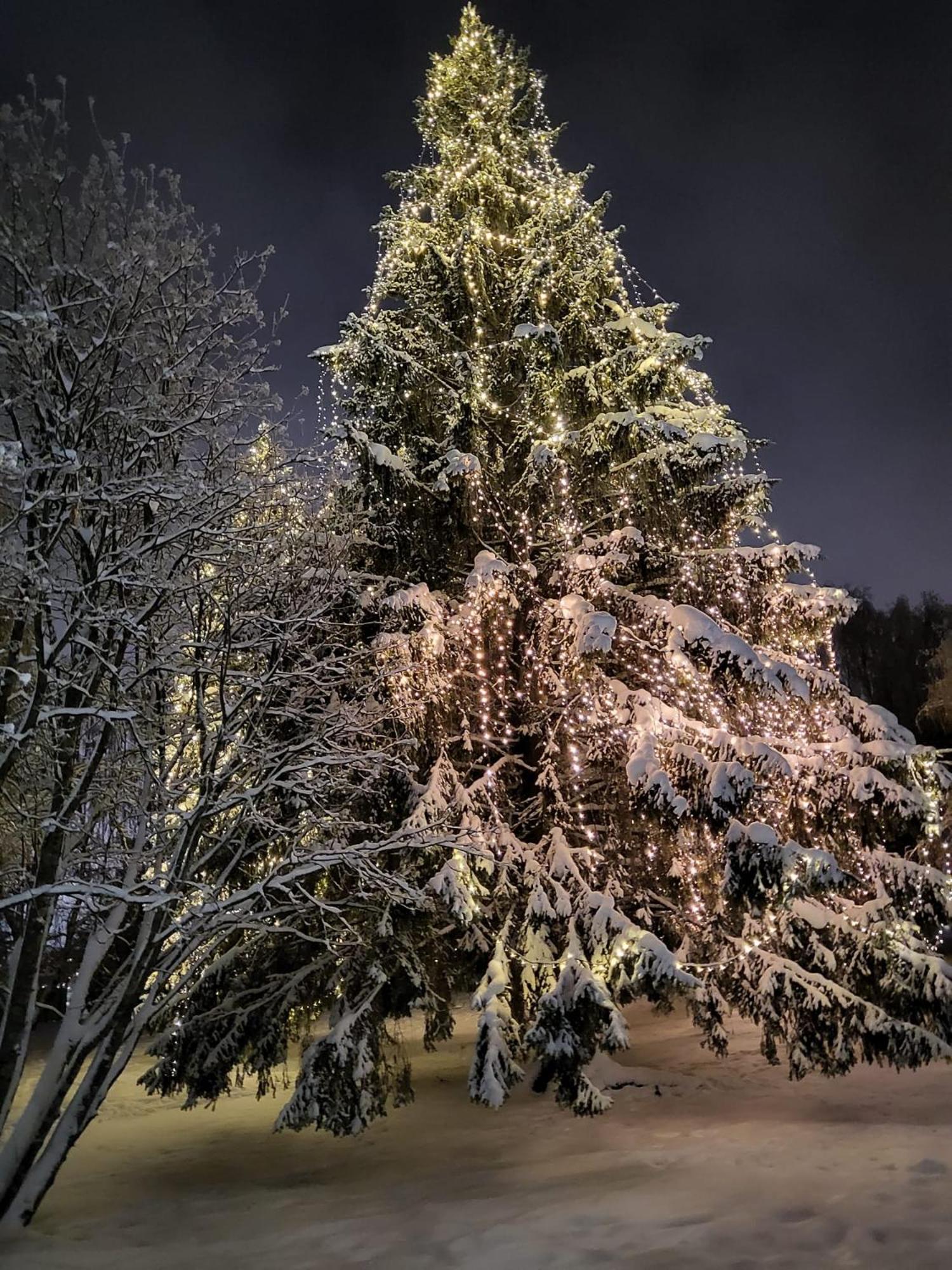 Cozy Arctic Heart Apartment Rovaniemi Luaran gambar